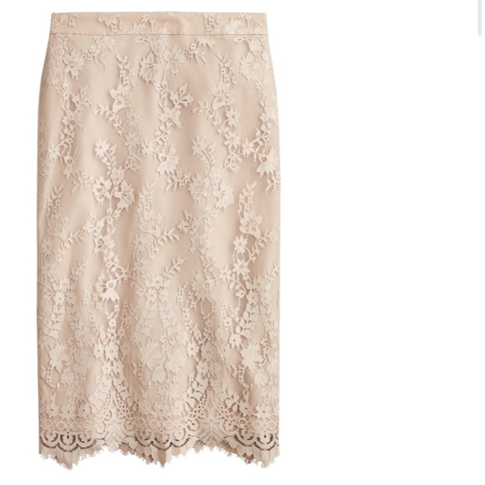 Jcrew Chantilly Lace Skirt